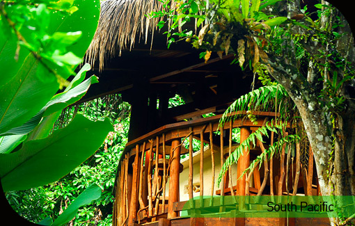 Playa Nicuesa Rainforest Lodge picture